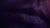 Close-up thumbnail of the bruised and cut lips of the woman from A Tiger NFT collectible artwork
