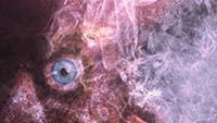 Eye thumbnail detail from the You Reek of Fear NFT collectible artwork
